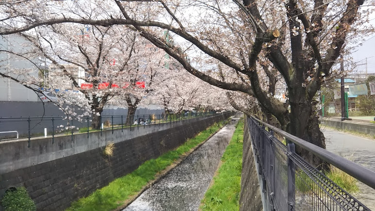 地図のイメージ